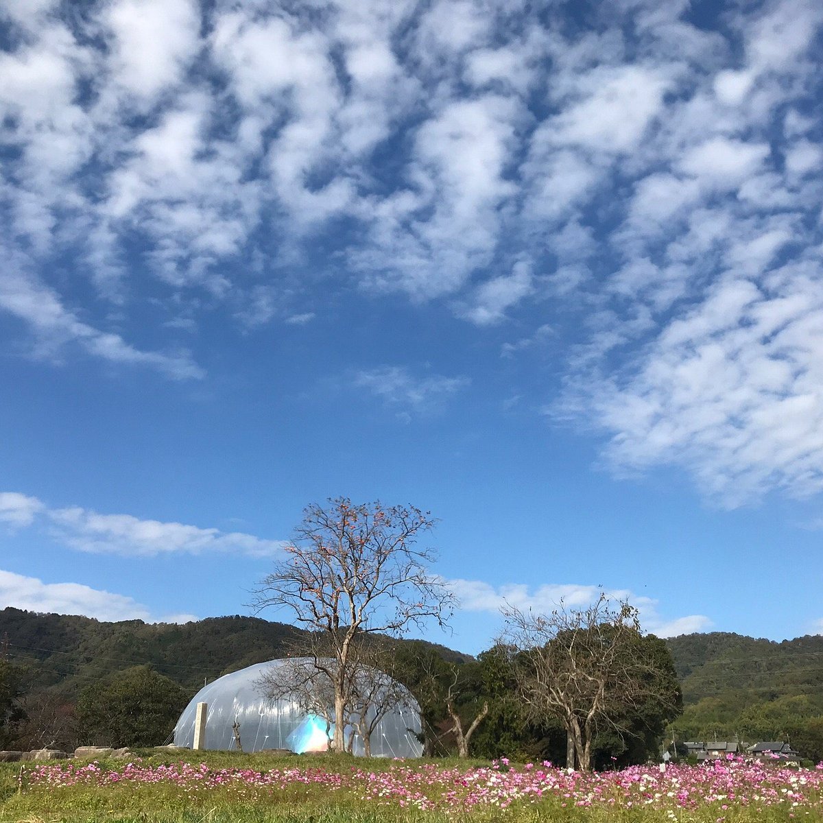 🏛️ 쿠니노미야 궁터 - 내리 지구 (구니노미야아토 다이리치쿠) 이미지 7